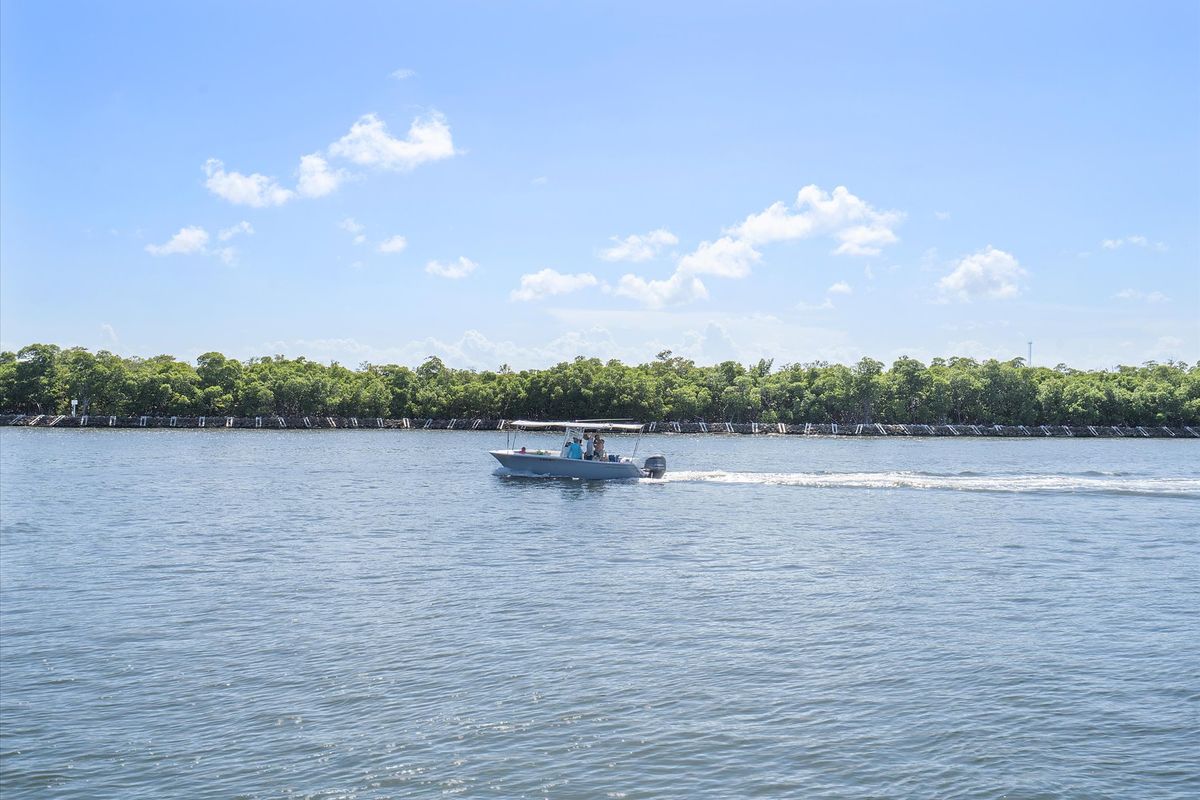 The Intracoastal from the dock